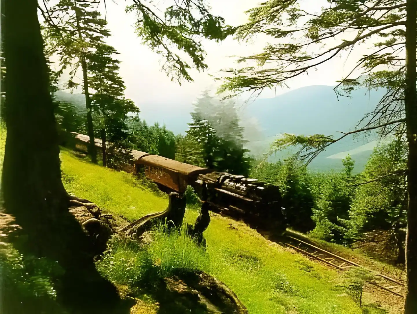 Brockenstübchen Landschaft