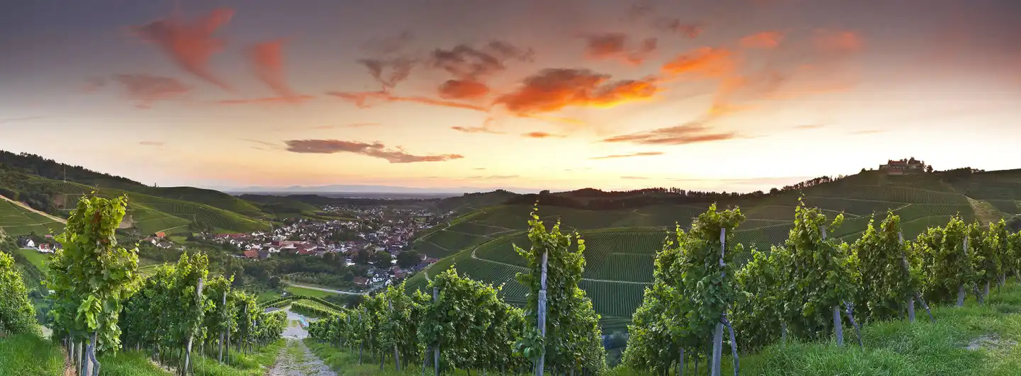 Ritter Landschaft