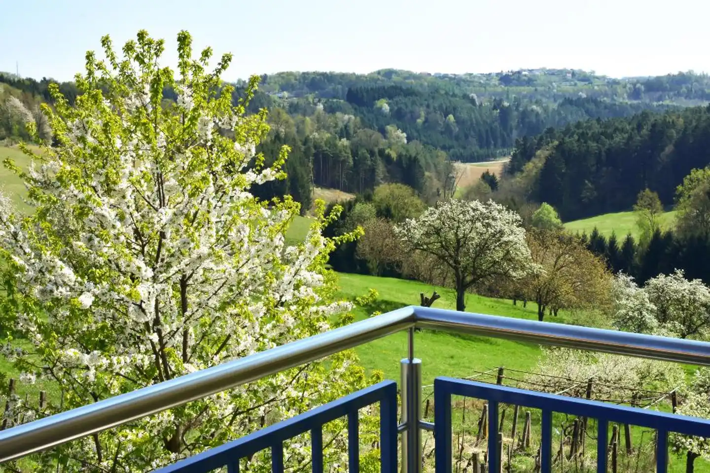 Golf & Therme Sonnenpension Landschaft