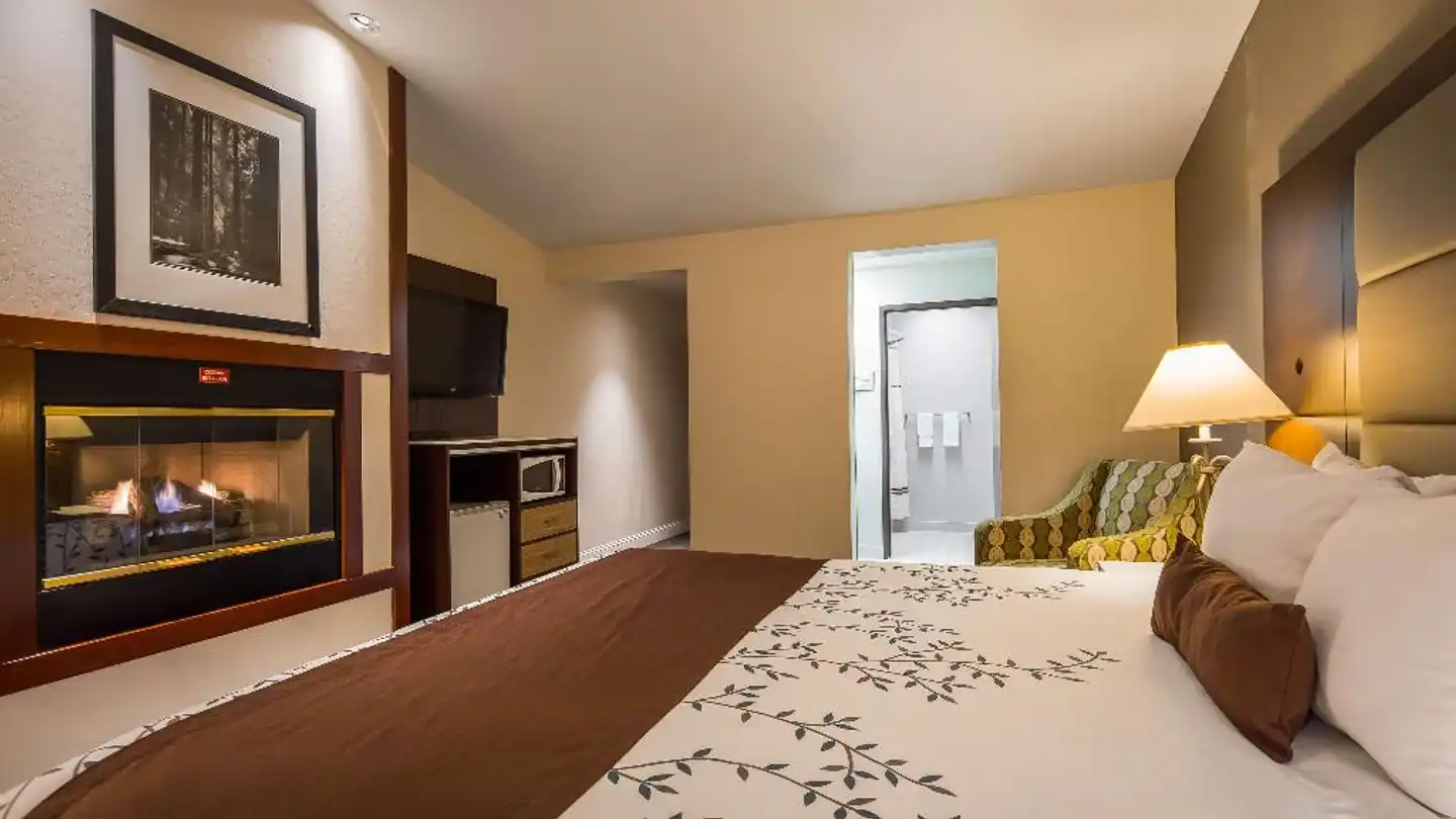 Best Western PLUS Forest Park Inn Wohnbeispiel