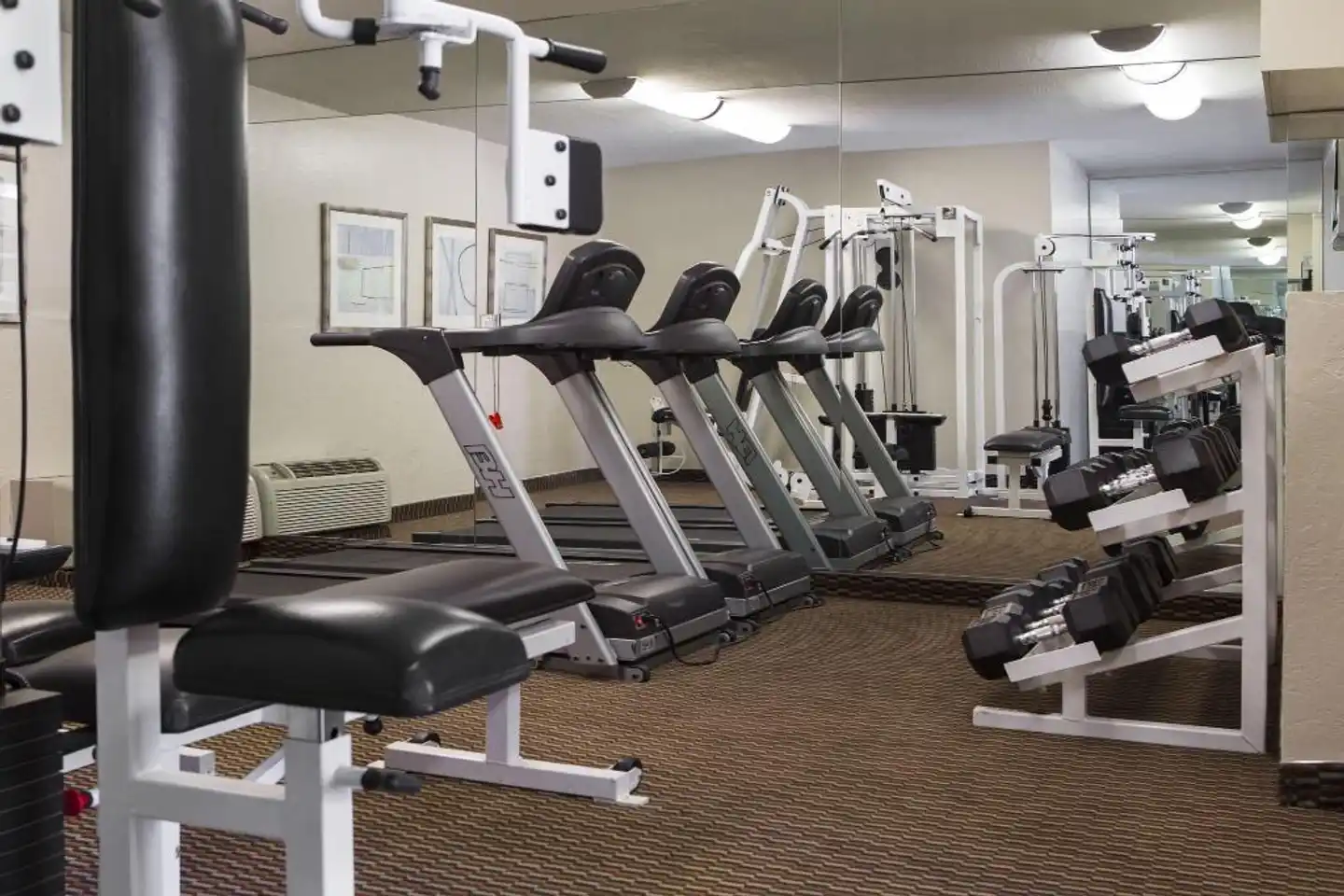 3 Palms Scottsdale Sport und Entertainment