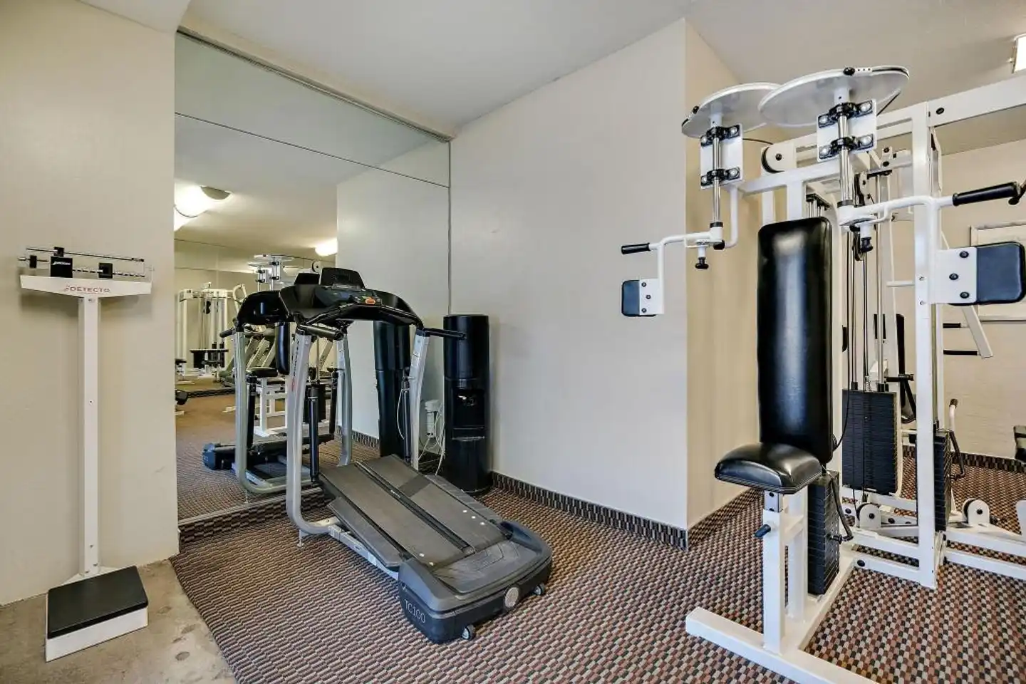 3 Palms Scottsdale Sport und Entertainment