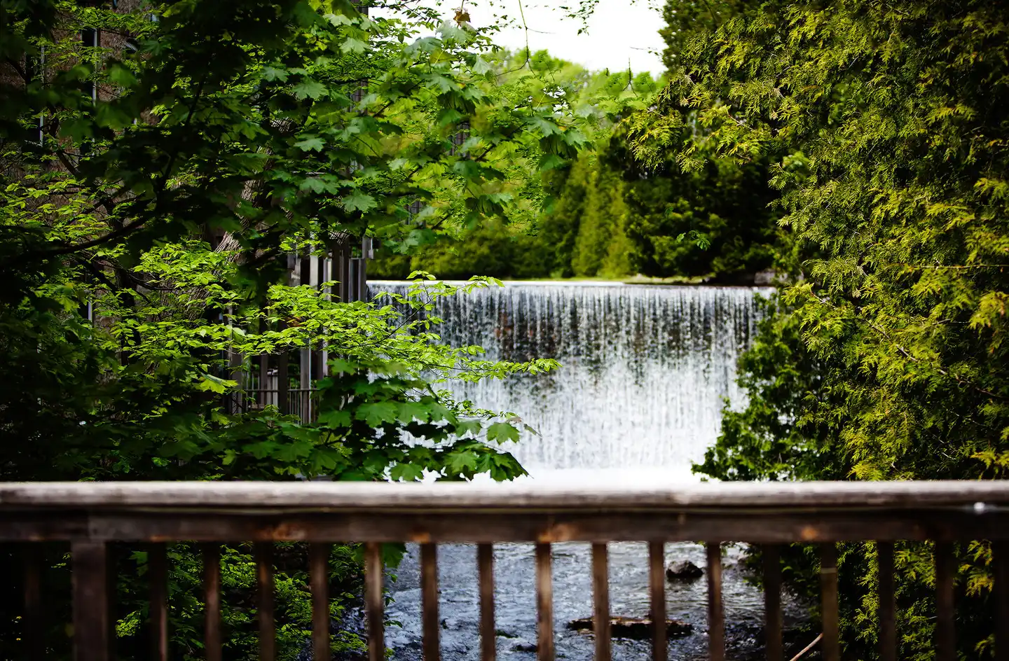 Millcroft Inn & Spa Garten