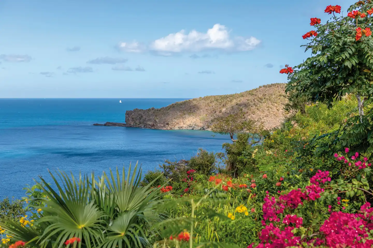 Guana Island Landschaft