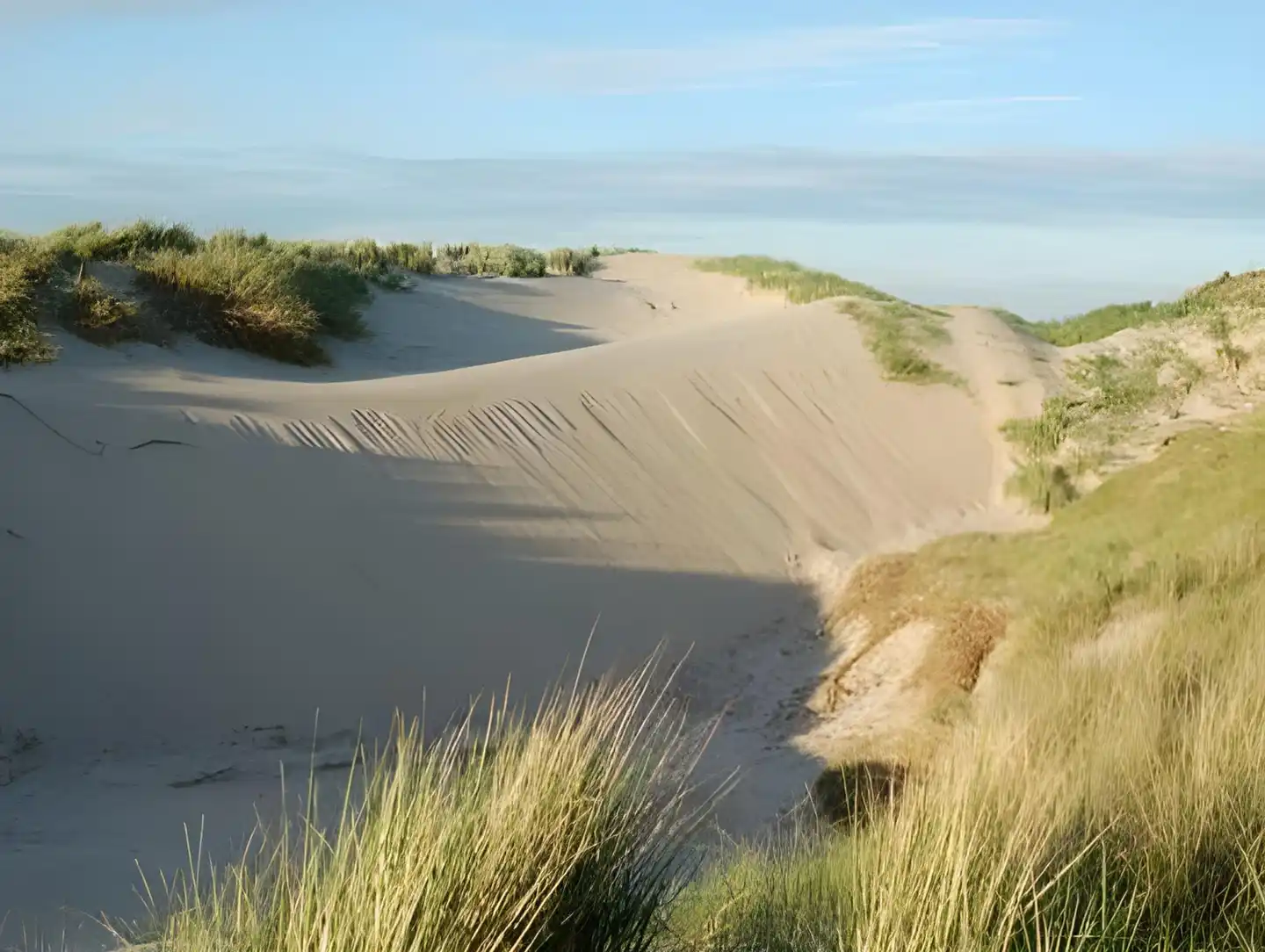 Renesse Landschaft