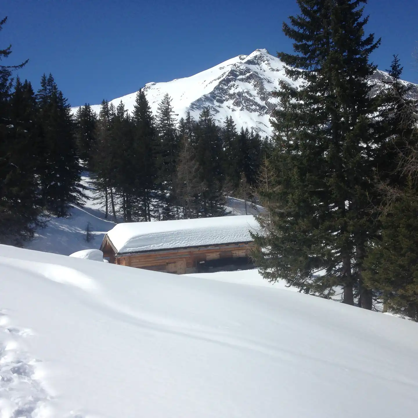 Gasthof Andrelwirt Landschaft