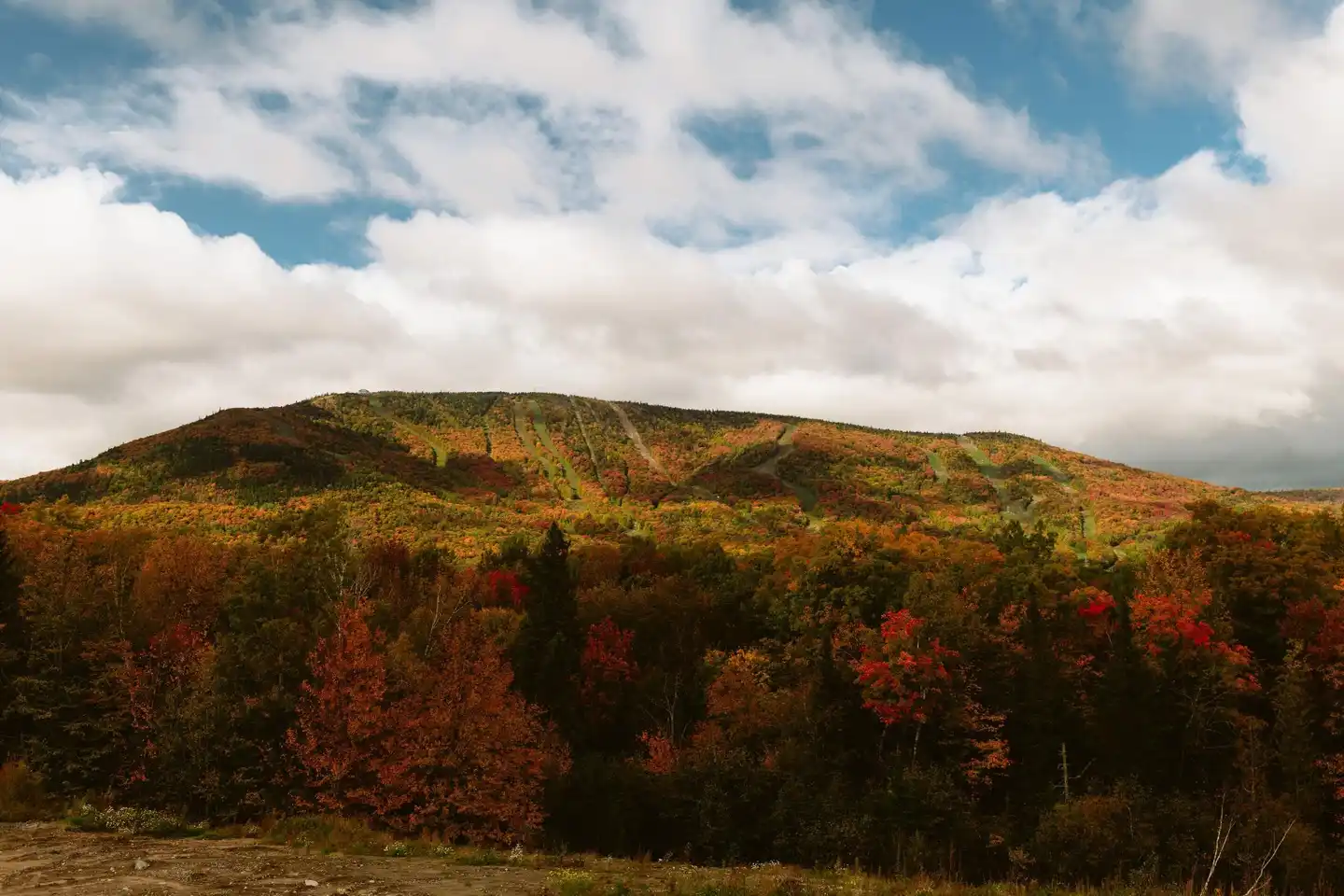 Delta Hotels, Mont Sainte-Anne, Resort & Convention Center Landschaft