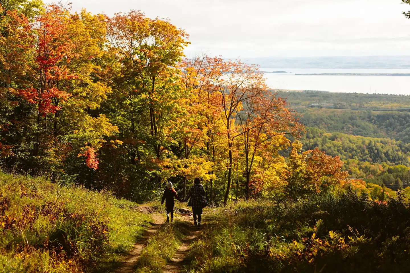 Delta Hotels, Mont Sainte-Anne, Resort & Convention Center Landschaft
