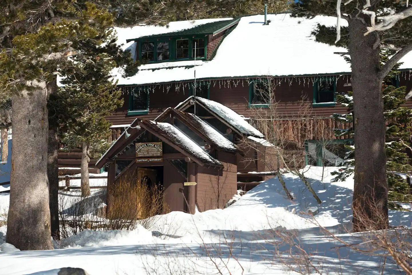 Tamarack Lodge Tiere