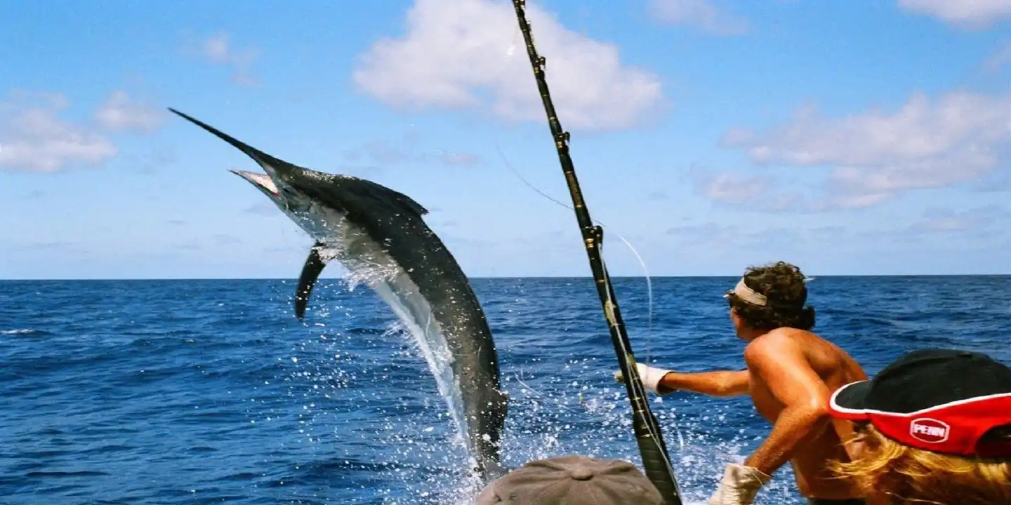 Crowne Plaza Hotel & Resorts Fort Lauderdale Airport/ Cruise Tiere