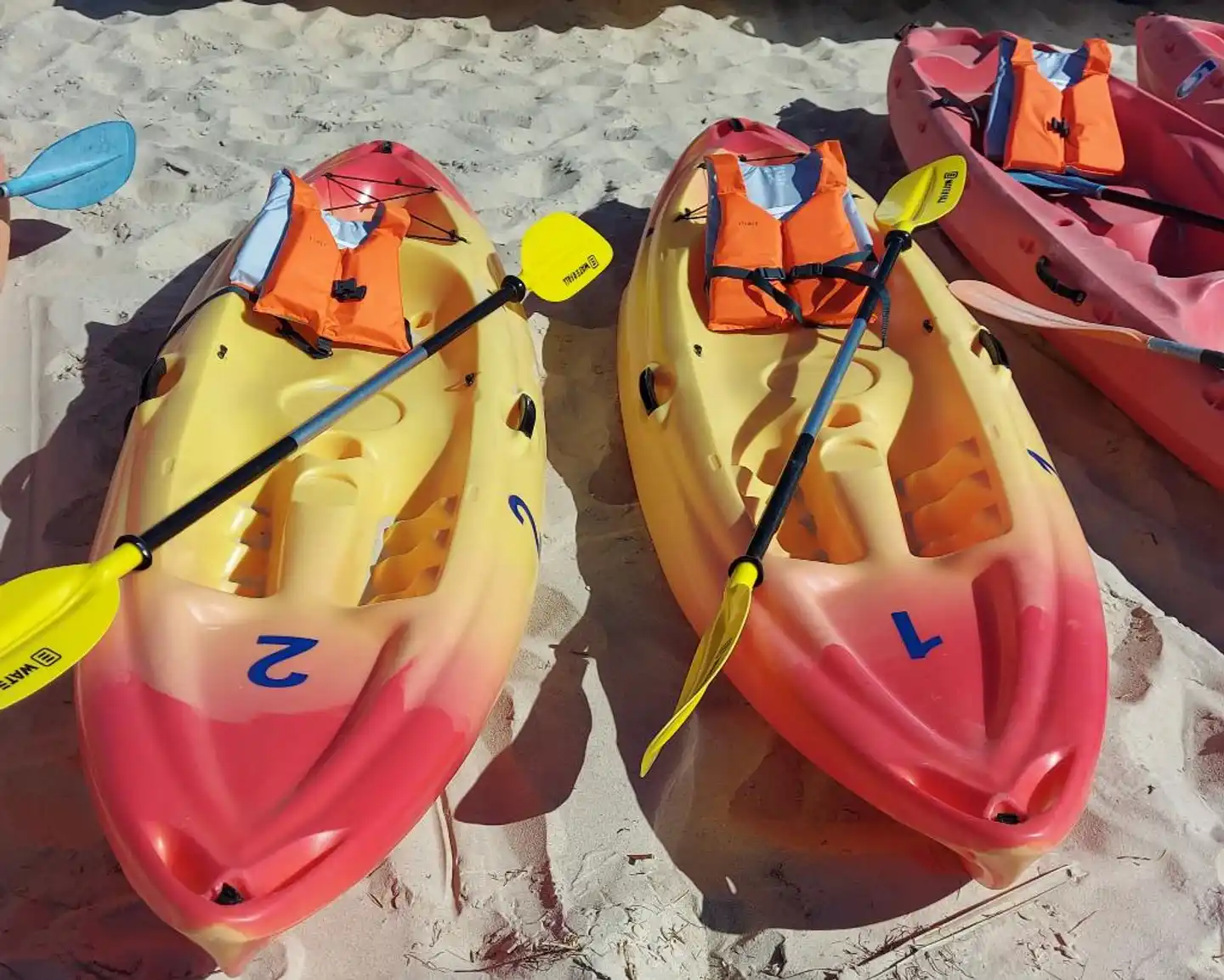 Pedras D'el Rei Sport und Entertainment