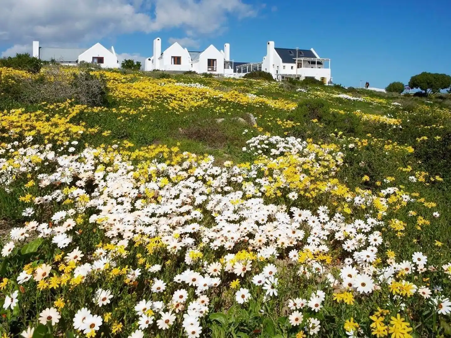 Abalone Hotel & Villa's Landschaft