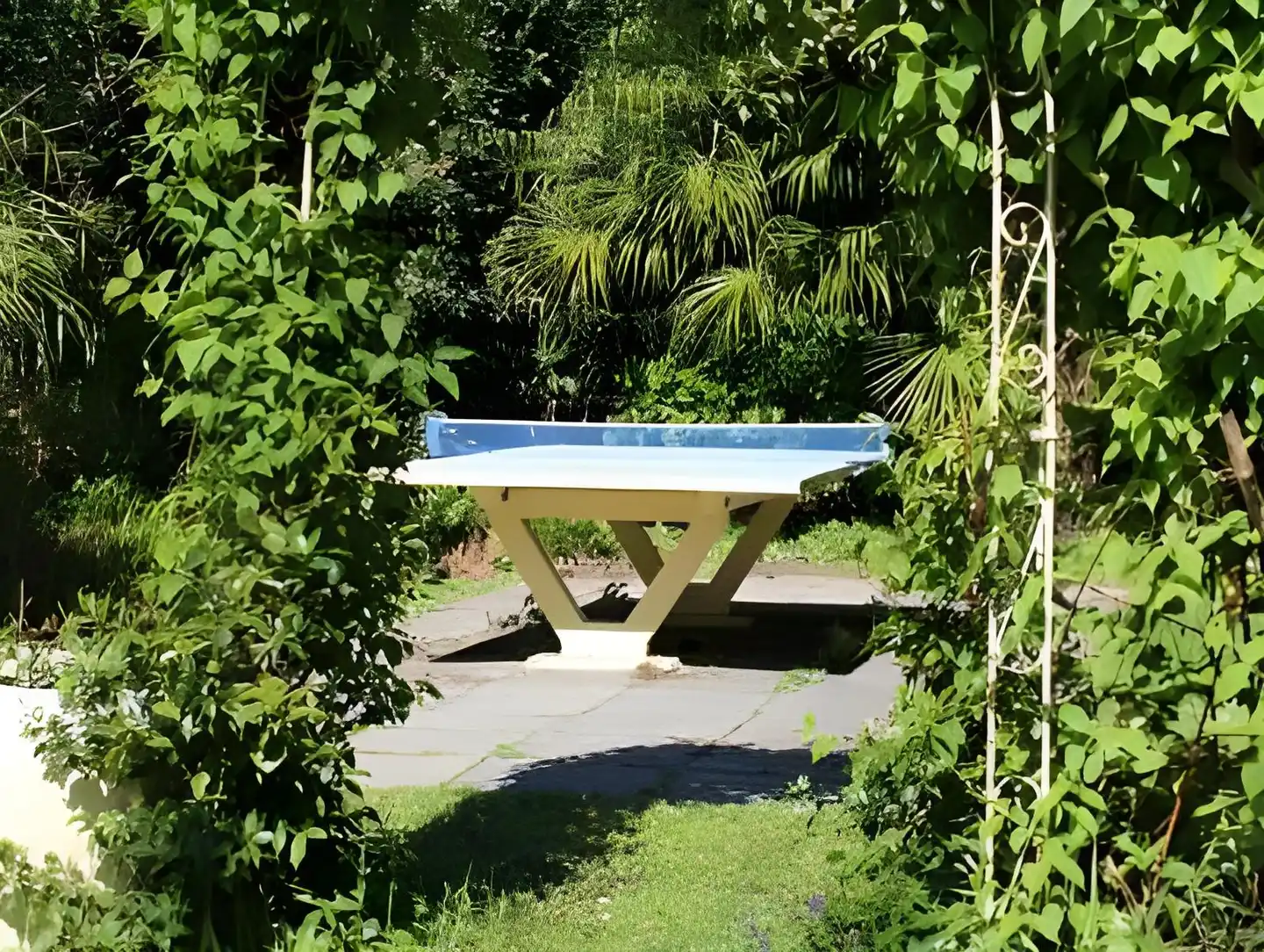 Luna Garten