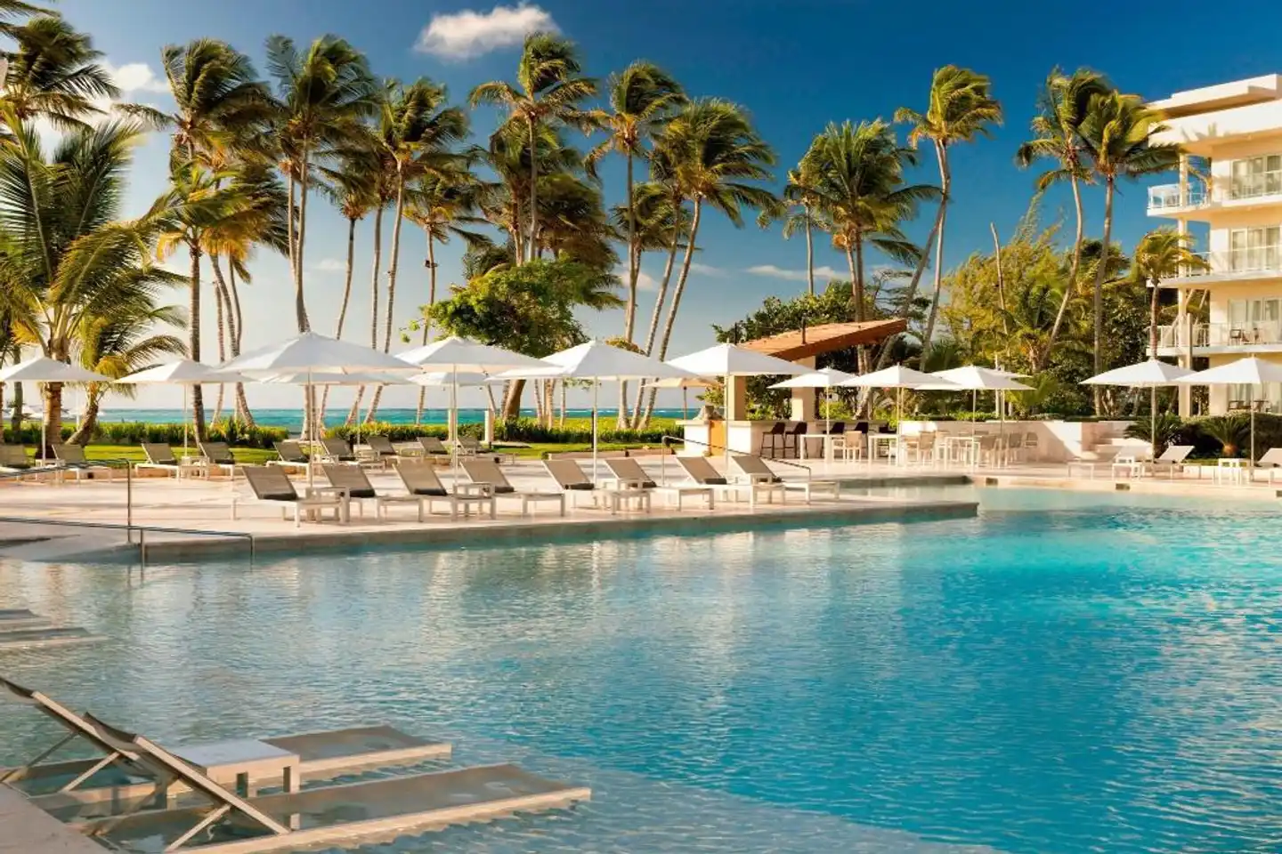 The Westin Puntacana Resort & Club Pool