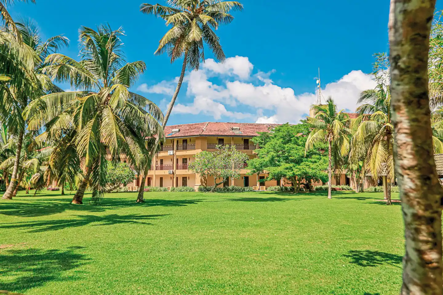 The Palms Hotel Aussenansicht