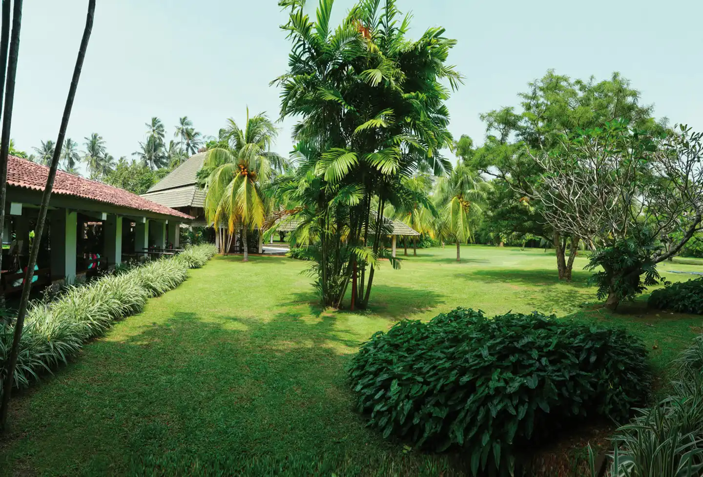The Palms Hotel Garten