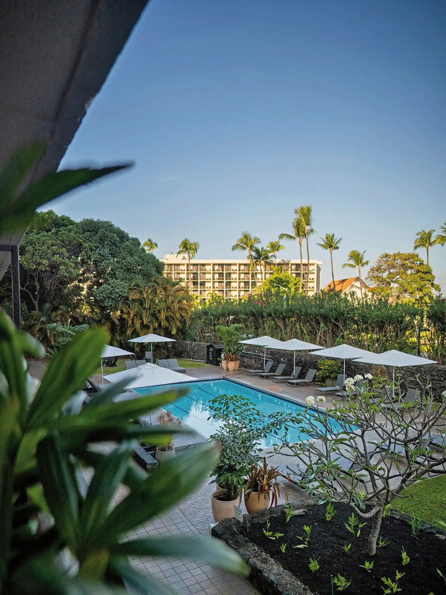 Pacific 19 Kona Pool