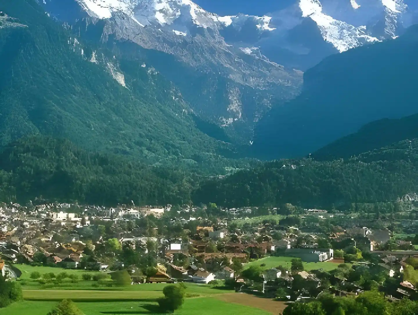Blume Landschaft