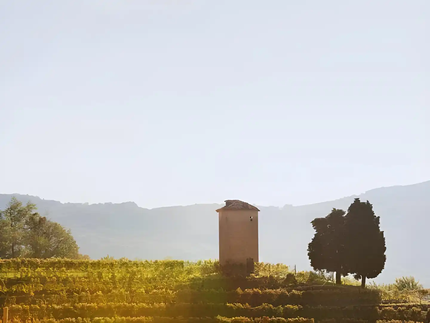 Collina d'Oro Landschaft