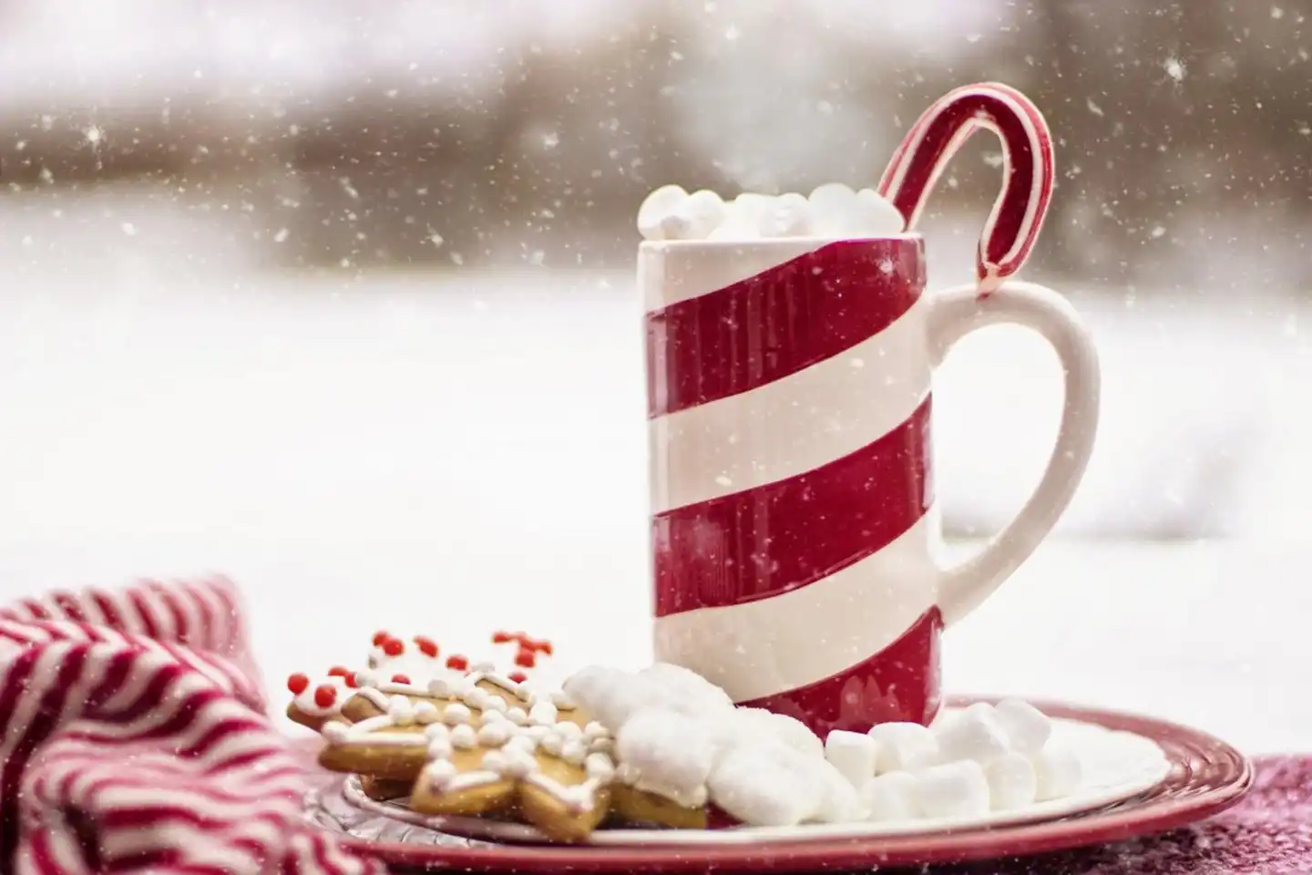 Holiday Inn & Suites Lafayette North Wellness