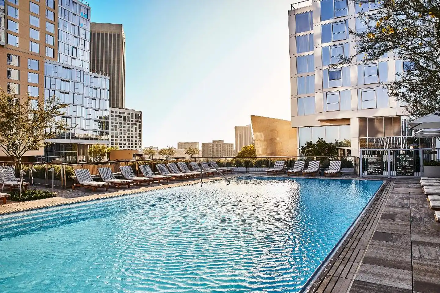 Conrad Los Angeles Pool