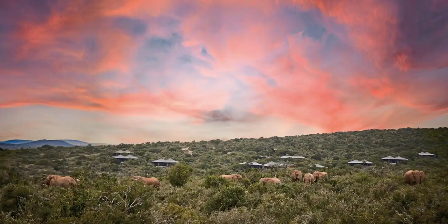Kwandwe Private Game Reserve Landschaft