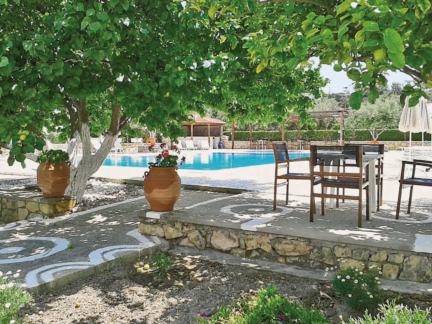 Sophia Pool