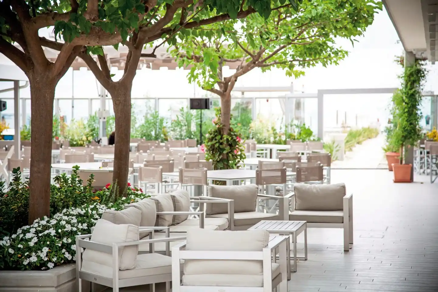 Palace Terrasse
