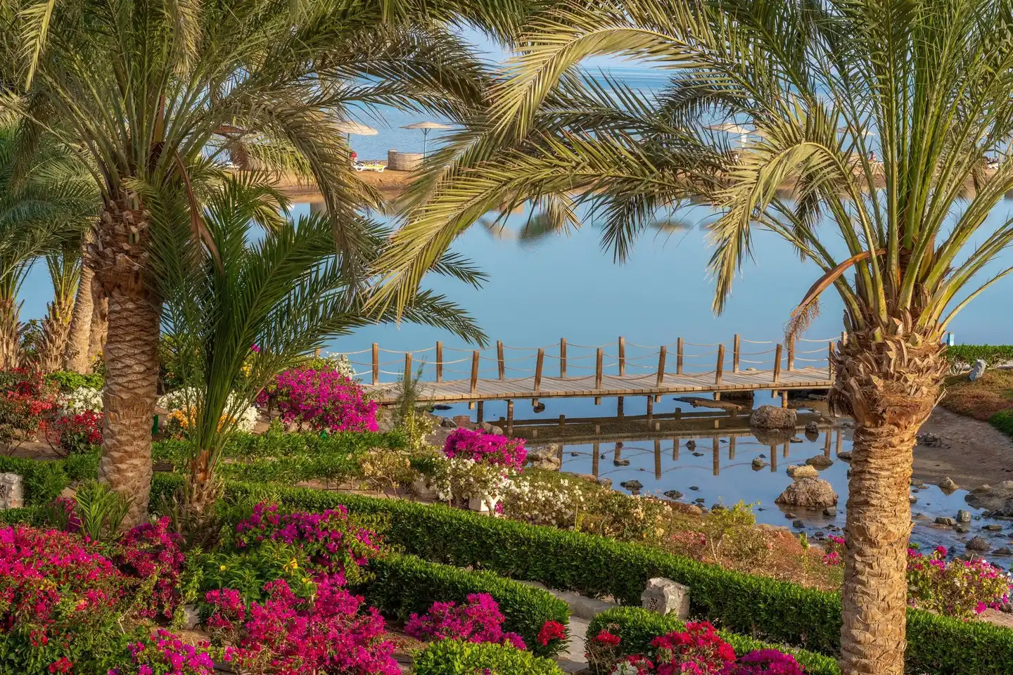 Mövenpick Resort & Spa El Gouna Terrasse