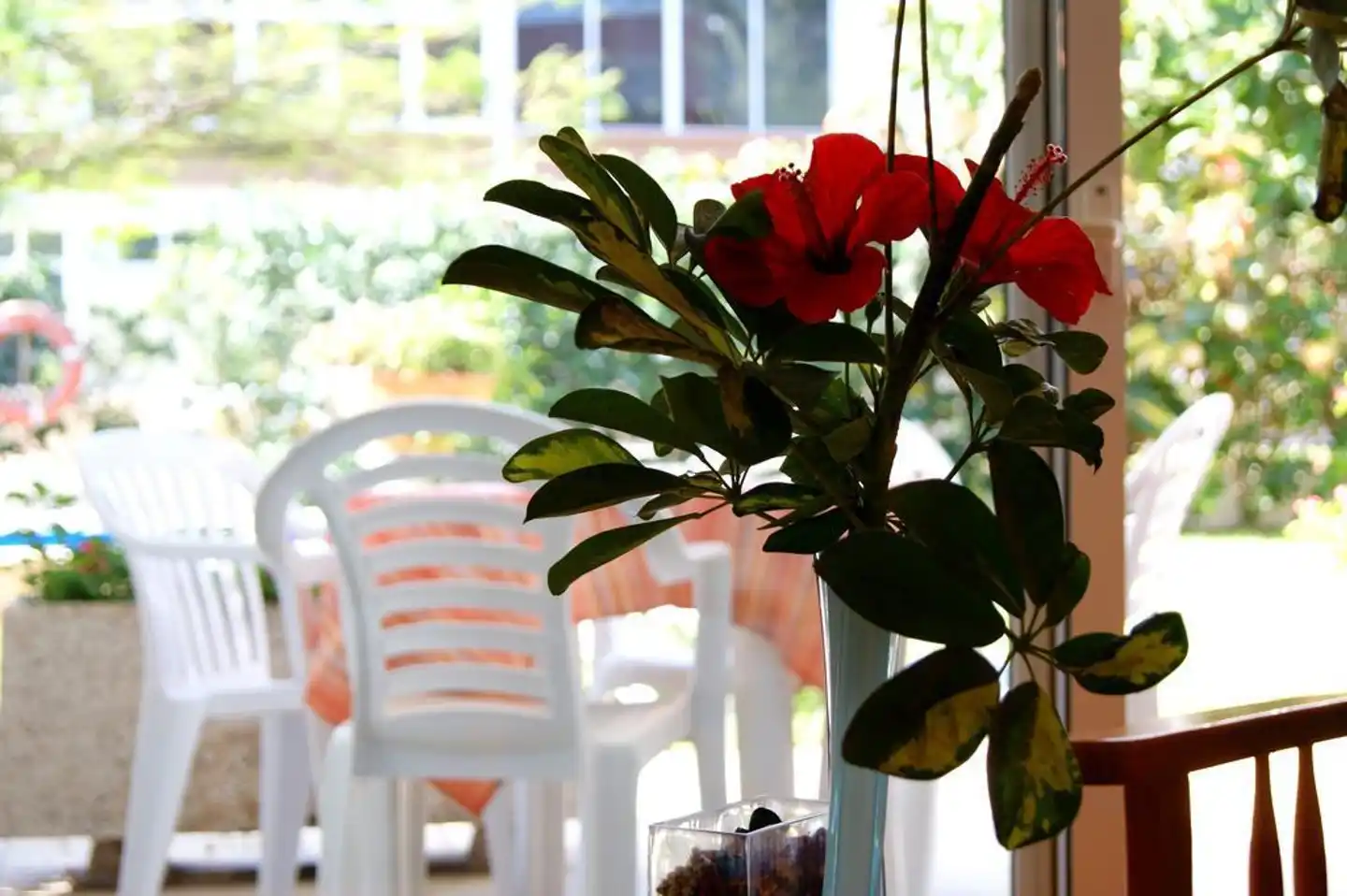 Apartamentos Ecuador Lobby