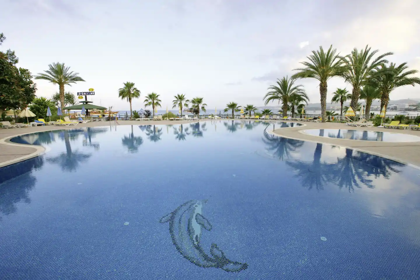 Lonicera World Hotel Pool