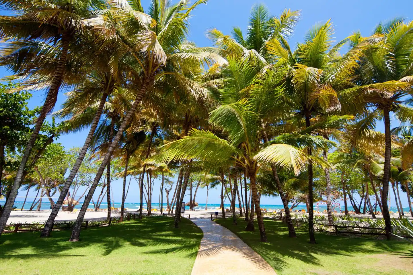 Iberostar Waves Costa Dorada Strand