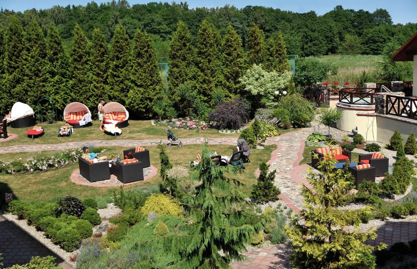 Kormoran Landschaft