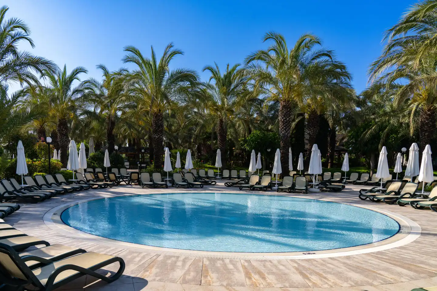 Royal Wings Hotel POOL