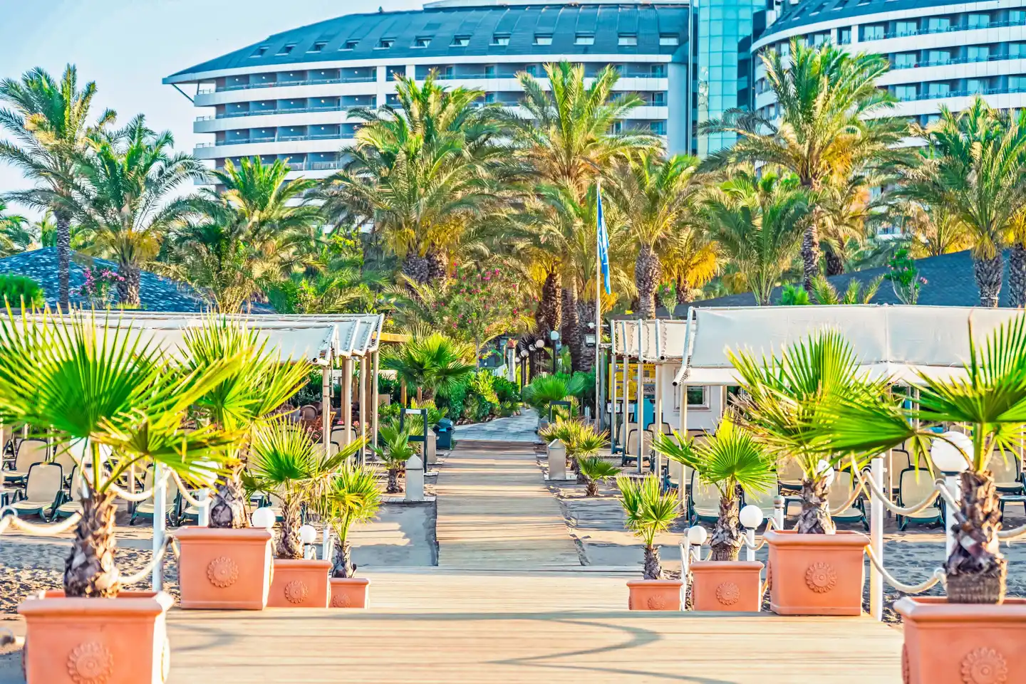 Royal Wings Hotel OUTDOOR