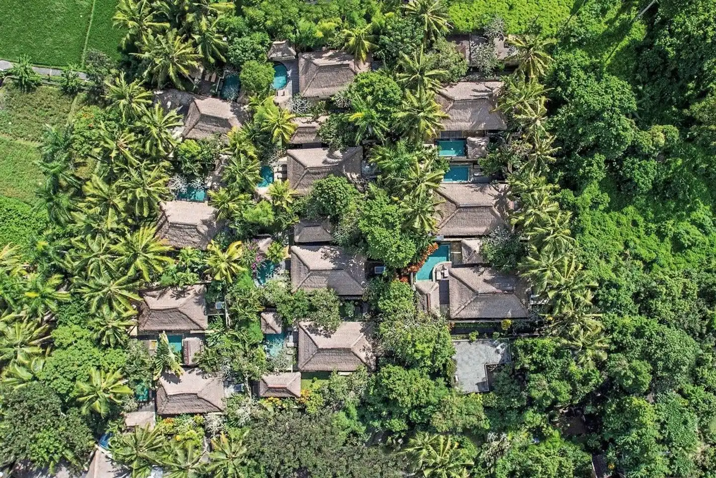 The Ubud Village Resort & Spa Landschaft