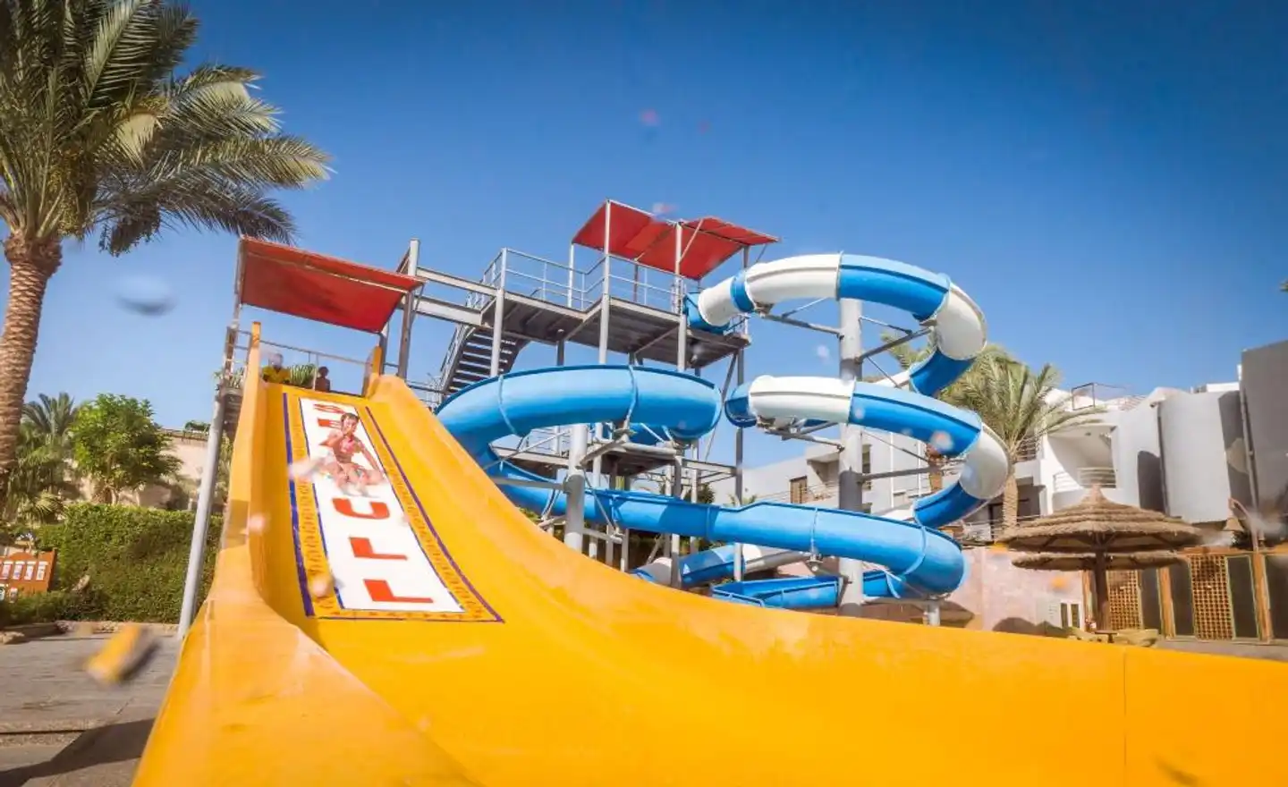 Seagull Beach Resort Pool