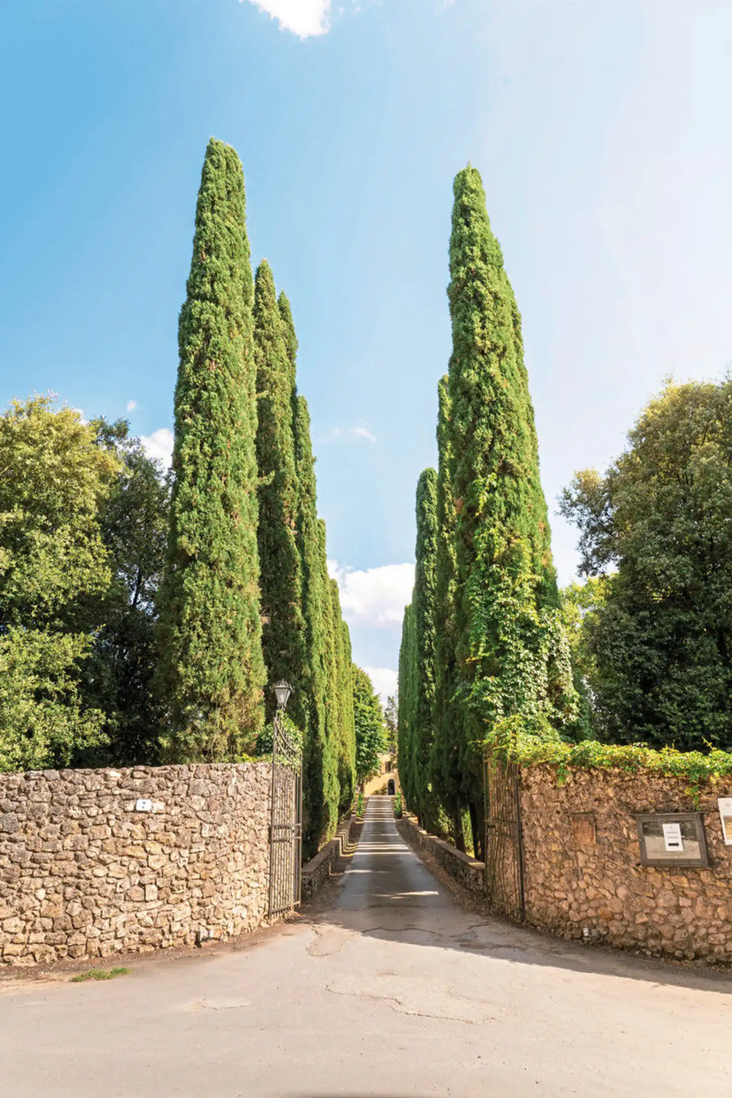 Borgo San Luigi Landschaft