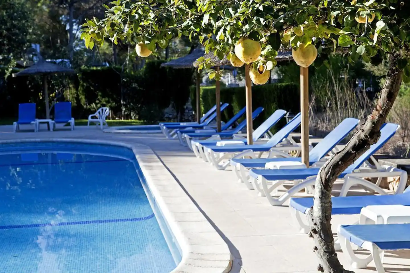 Playa Mondragó Pool