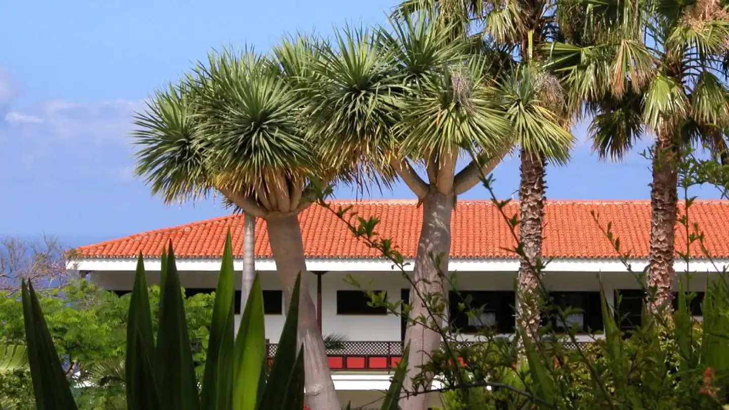 Apartamentos Miranda Aussenansicht