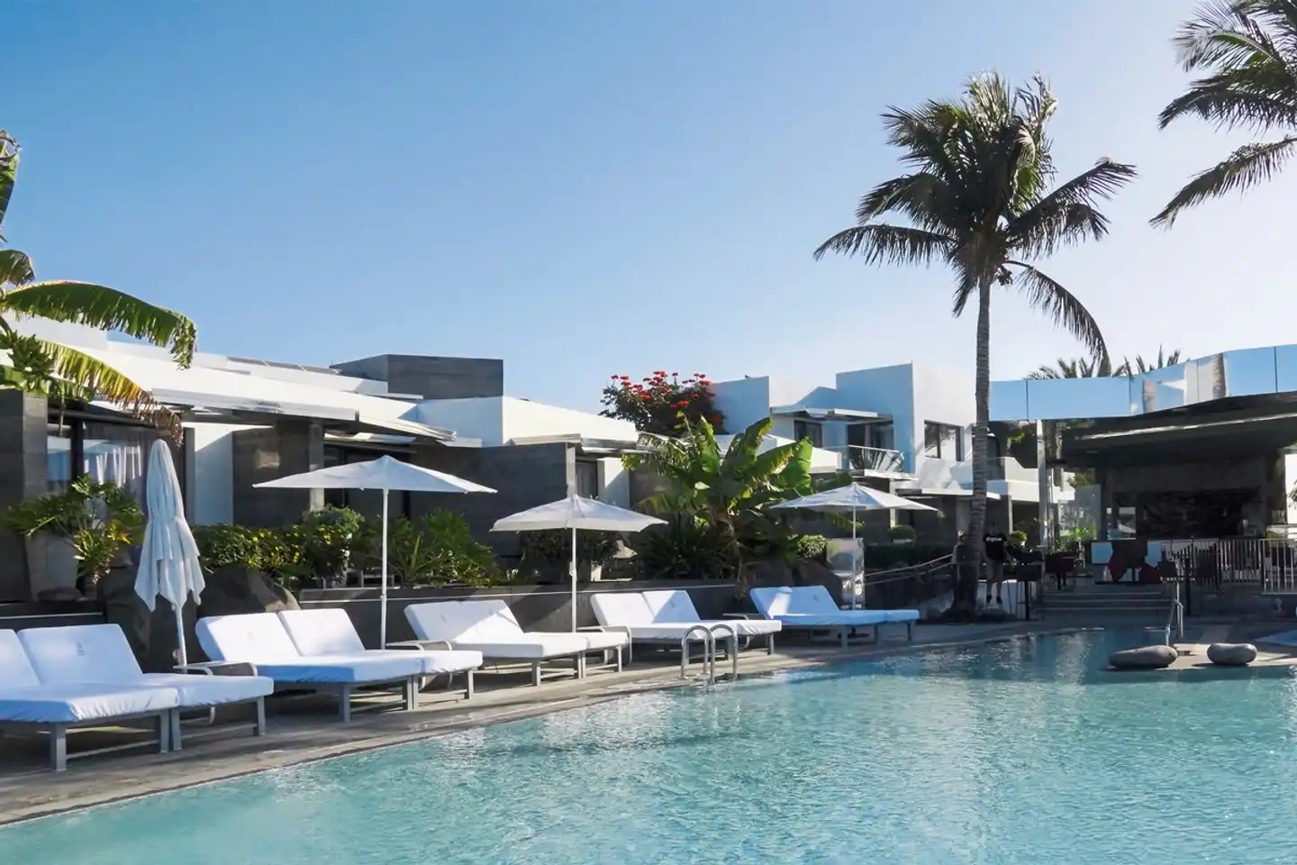 La Isla y el Mar Pool