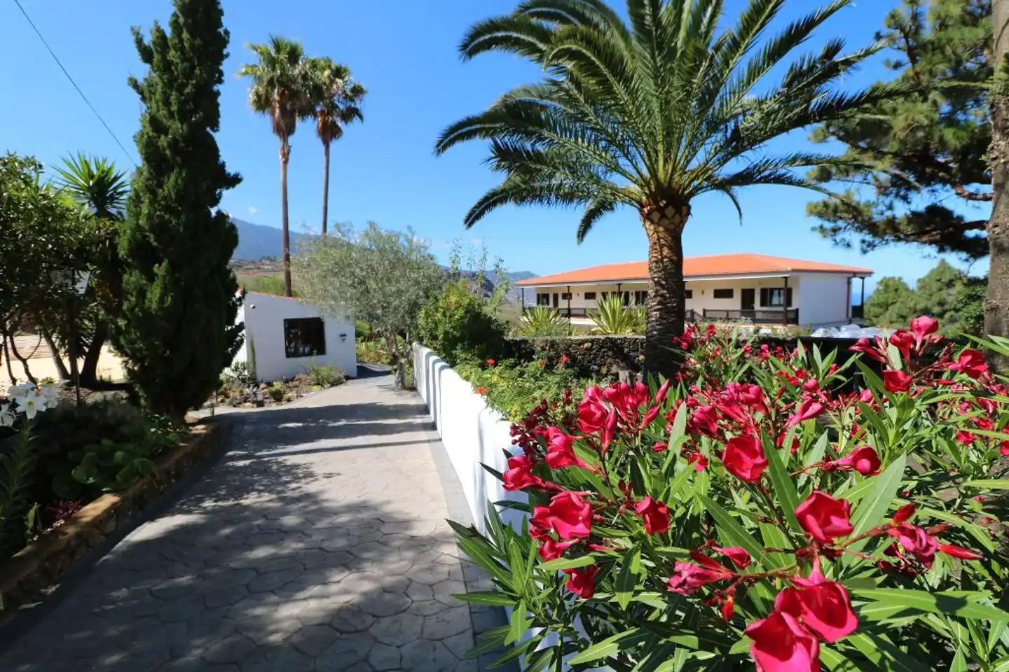 Apartamentos Miranda Garten