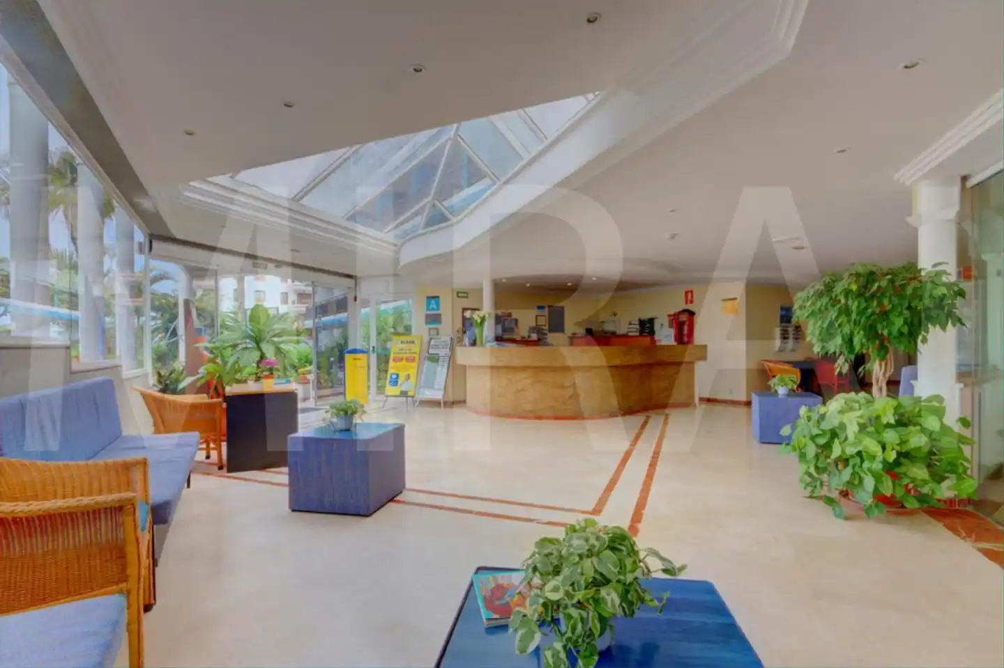 Apartamentos Pez Azul Lobby