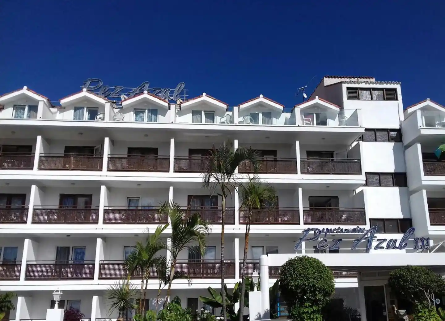 Apartamentos Pez Azul Aussenansicht