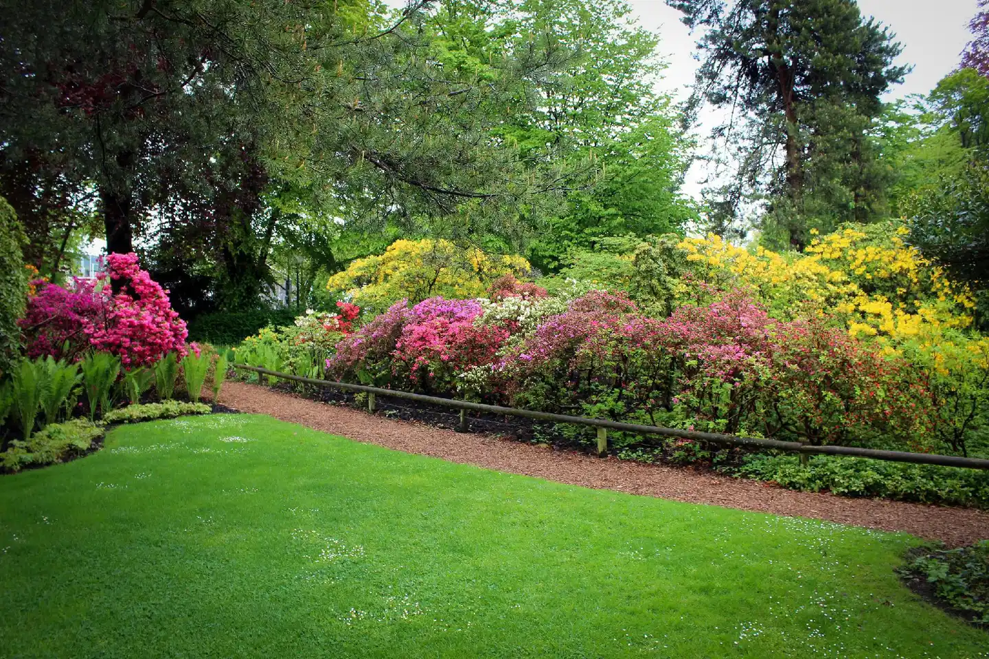 Dolder Garten
