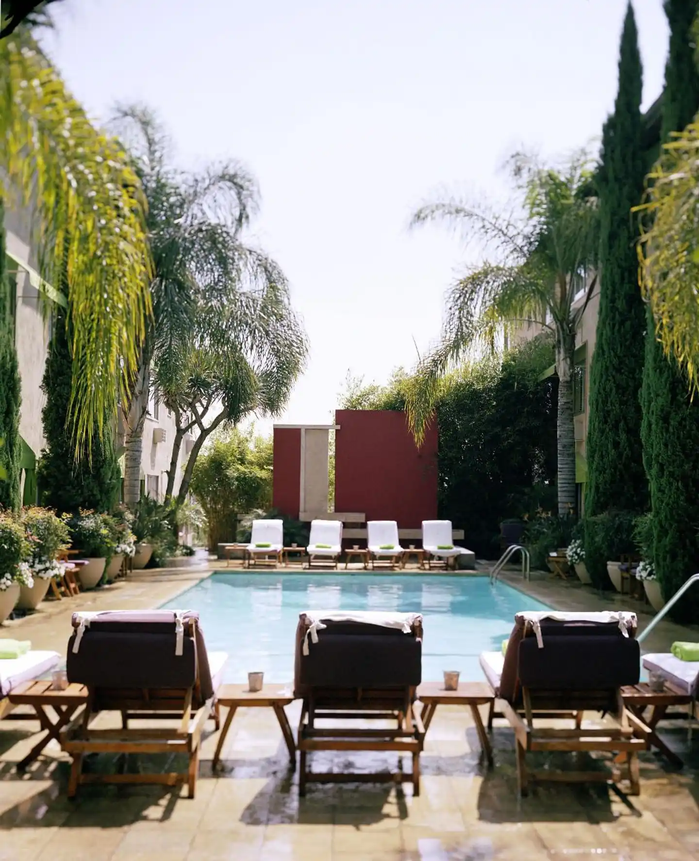 Hotel Ziggy Pool