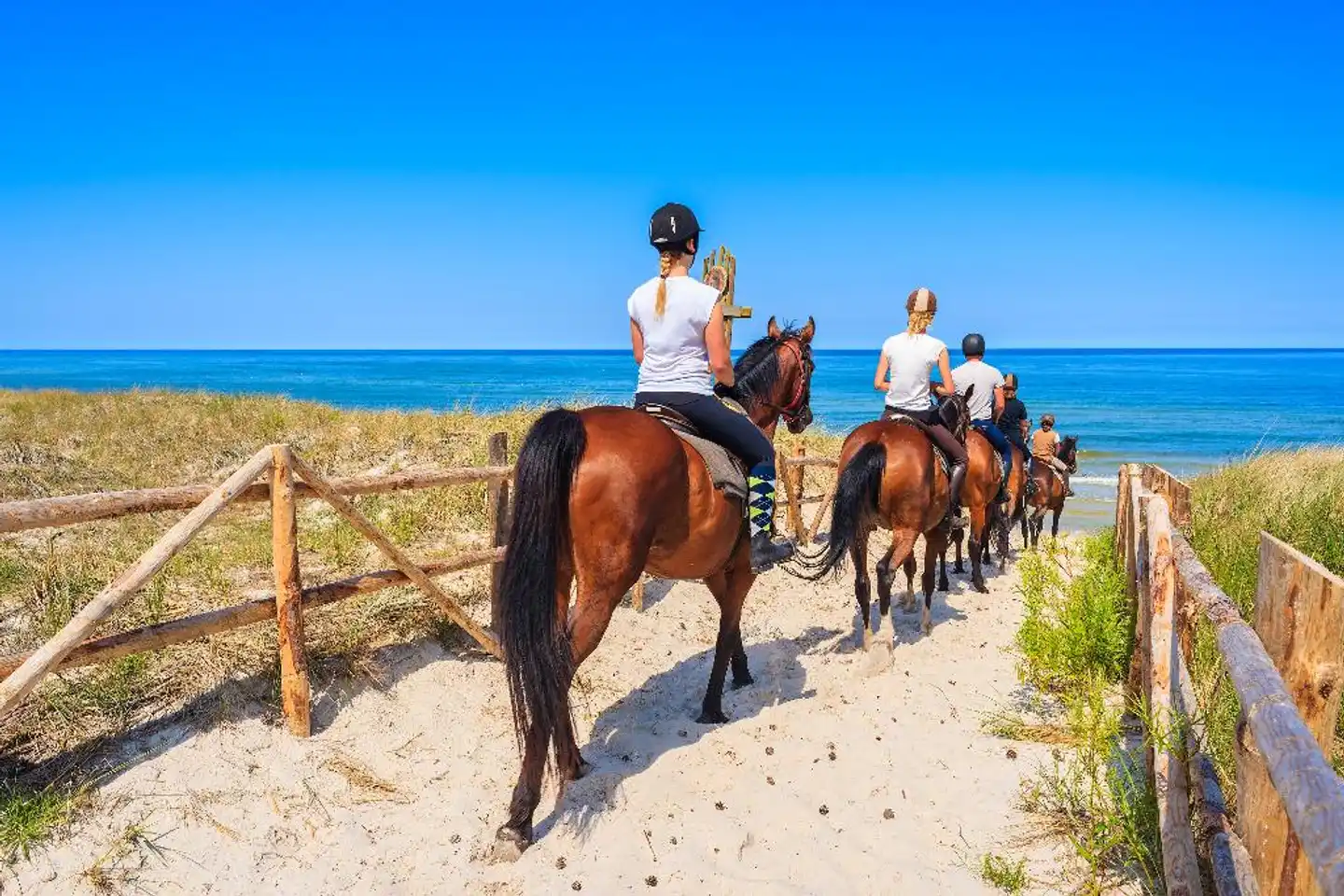Pérgolas Sport und Entertainment