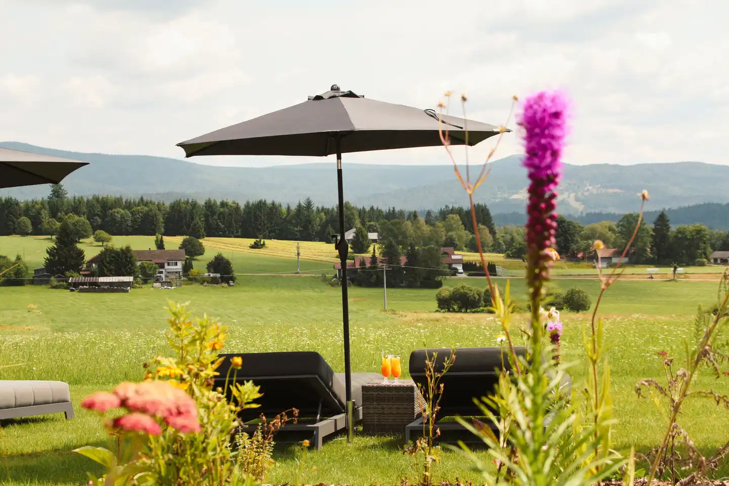 Wieshof Garten