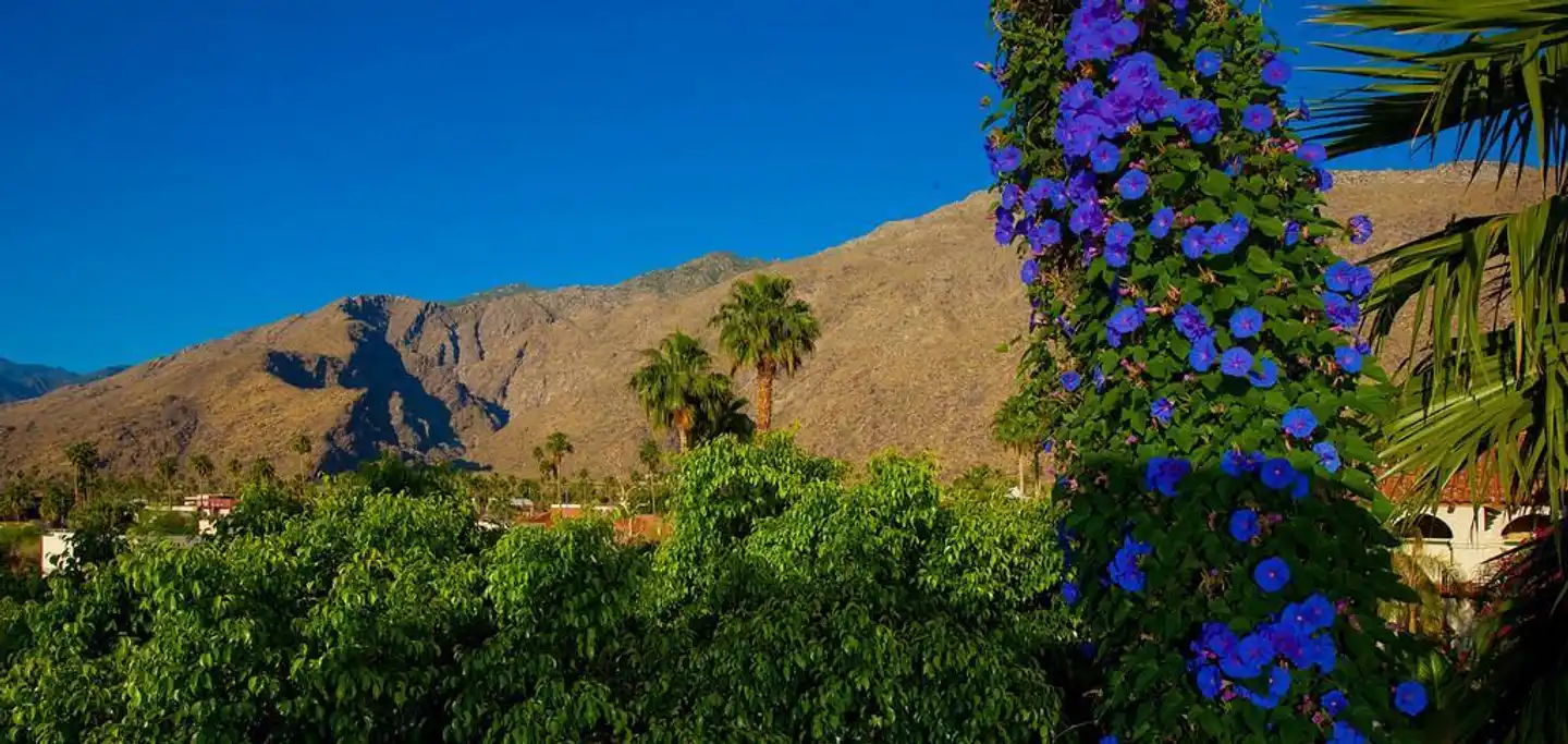 Best Western Plus Las Brisas Hotel Landschaft