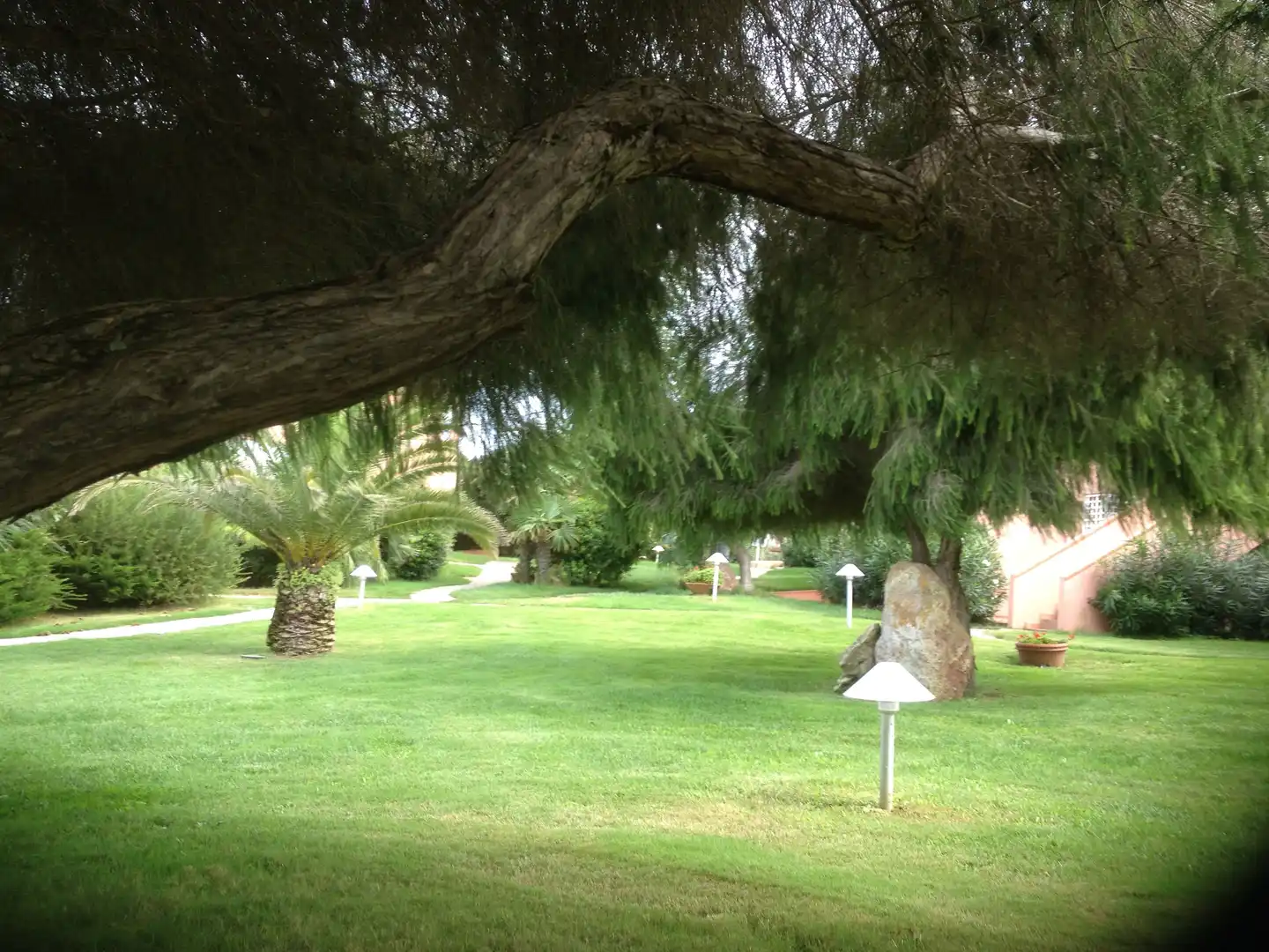 Cala Rosa Club Hotel Tiere